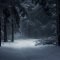 Dark Winter Path Live Wallpaper