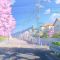 Cherry Blossom In Japan Live Wallpaper