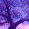 Anime Girl Sitting On Purple Tree Live Wallpaper
