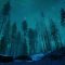 Aurora-Northern Hardwood Forest Live Wallpaper