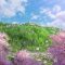 Beautiful Anime Landscape Live Wallpaper