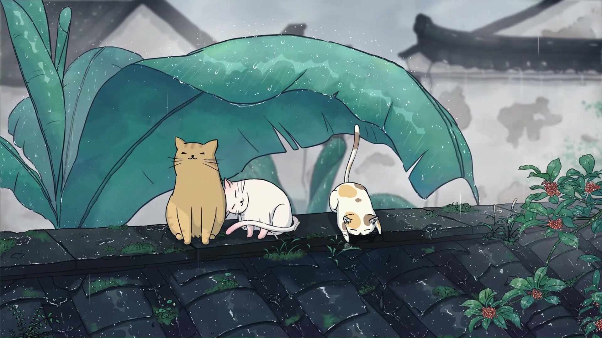 Cats Chill In A Rainy Day Live Wallpaper - HDLiveWall.com.