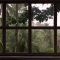 Tropical Storm Window With Rain & Thunder Live Wallpaper