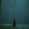 Lonely Stray Cat In The Rain Live Wallpaper