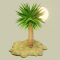Palm Animation At Sunset Live Wallpaper