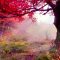 Trees With Red Leaves In Autumn Live Wallpaper