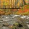 Autumn River Landscape Live Wallpaper
