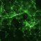 Green Neurons Live Wallpaper