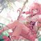 Sakura Anime Girl Live Wallpaper