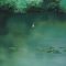 Water Ripple – Studio Ghibli Nature Live Wallpaper