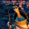 Kung Fu Panda – Mr Oogway Quote Live Wallpaper