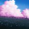 Pink Clouds Live Wallpaper