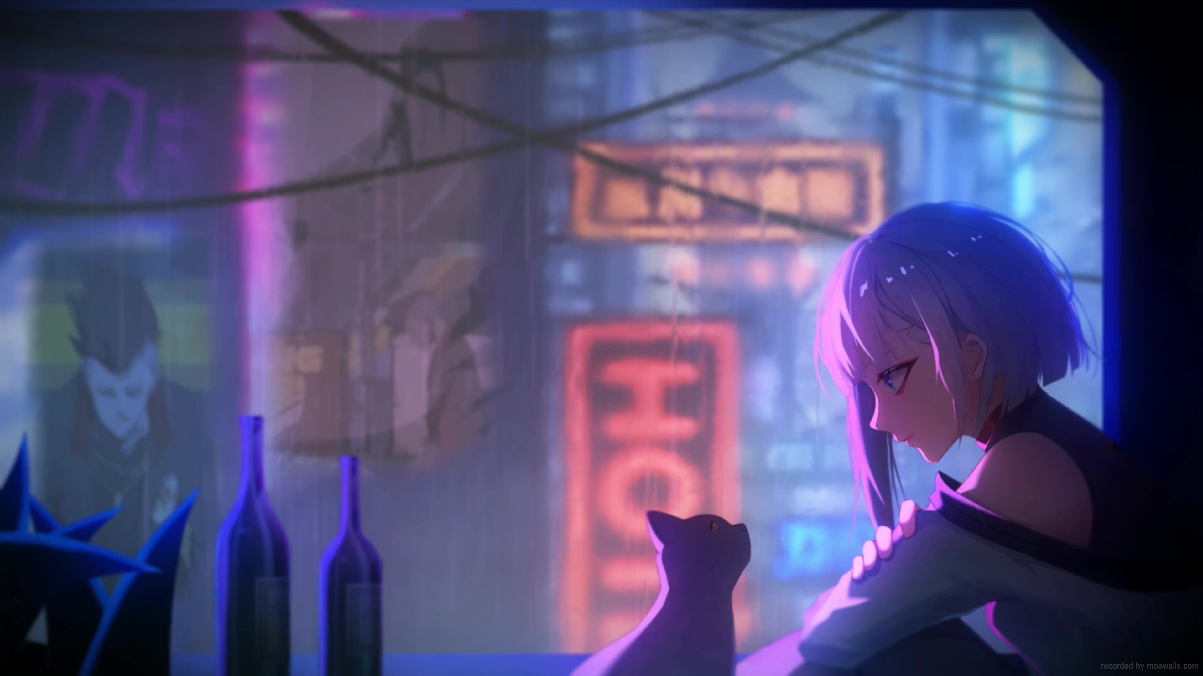 Download Live Wallpaper Lucyna And Cat In A Rainy Night - Cyberpunk for Des...