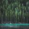 Pine Trees By Blue Lake Live Wallpaper